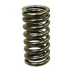 PSYCHIC INTAKE VALVE SPRING