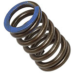 PSYCHIC INTAKE VALVE SPRING