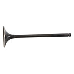Hot Cams Valve Intake Steel