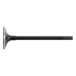 Hot Cams Valve Intake Steel