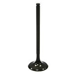 PSYCHIC INTAKE VALVE