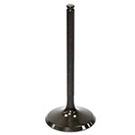 PSYCHIC EXHAUST VALVE