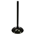 PSYCHIC INTAKE VALVE