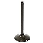 PSYCHIC INTAKE VALVE