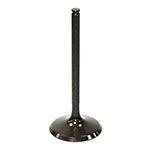 PSYCHIC INTAKE VALVE