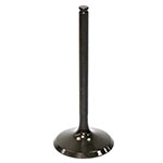 PSYCHIC INTAKE VALVE