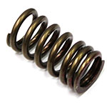 PSYCHIC EXHAUST VALVE SPRING