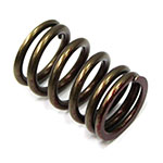PSYCHIC EXHAUST VALVE SPRING