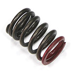 PSYCHIC EXHAUST VALVE SPRING