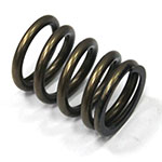PSYCHIC INTAKE VALVE SPRING