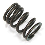 PSYCHIC INTAKE VALVE SPRING