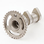 Hot Cams Camshaft Intake