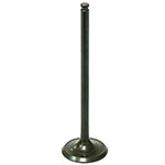 PSYCHIC EXHAUST VALVE
