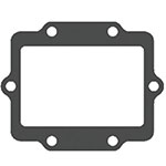 V-FORCE PWC GASKET