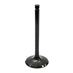 BRONCO INTAKE VALVE