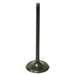 PSYCHIC INTAKE VALVE