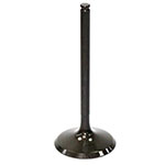 PSYCHIC EXHAUST VALVE