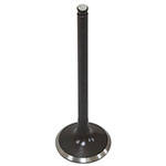 PSYCHIC EXHAUST VALVE