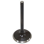 PSYCHIC EXHAUST VALVE
