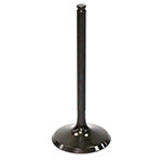 PSYCHIC INTAKE VALVE