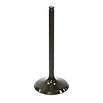 PSYCHIC INTAKE VALVE