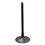 PSYCHIC INTAKE VALVE