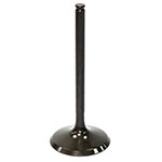 PSYCHIC INTAKE VALVE