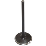 PSYCHIC INTAKE VALVE