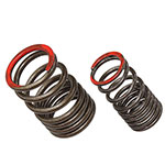 PSYCHIC EXHAUST VALVE SPRING