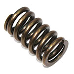 PSYCHIC INTAKE VALVE SPRING