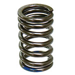 PSYCHIC INTAKE VALVE SPRING