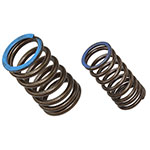 PSYCHIC INTAKE VALVE SPRING