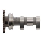 Hot Cams Camshaft Intake