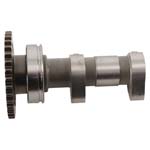 Hot Cams Camshaft Intake