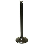 PSYCHIC EXHAUST VALVE