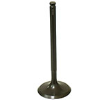 PSYCHIC INTAKE VALVE