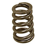 PSYCHIC EXHAUST VALVE SPRING