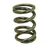 PSYCHIC EXHAUST VALVE SPRING