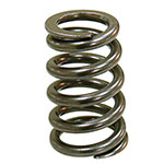 PSYCHIC INTAKE VALVE SPRING