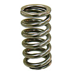 PSYCHIC INTAKE VALVE SPRING