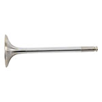 Hot Cams Valve Intake Steel