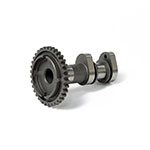 Hot Cams Camshaft Intake
