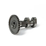 Hot Cams Camshaft Exhaust
