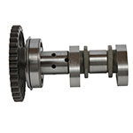 Hot Cams Camshaft Intake