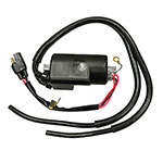 SPX IGNITION COIL