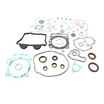 VERTEX GASKET SET & OIL SEALS