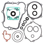 VERTEX GASKET SET & OIL SEALS