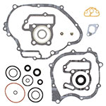 VERTEX GASKET SET & OIL SEALS