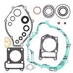 VERTEX GASKET SET & OIL SEALS