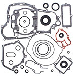 VERTEX GASKET SET & OIL SEALS
